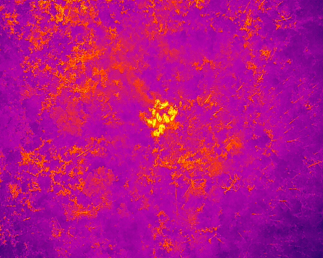 云南省森林消防总队供图 (4) 云南省森林消防总队供图 (4)