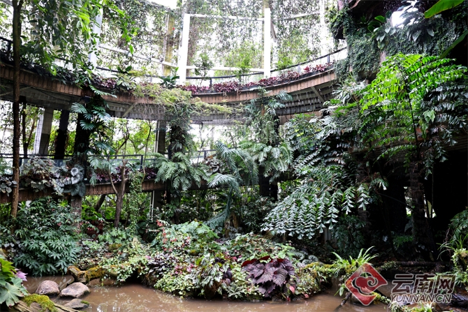 00304055771_ae5bf662 00304055771_ae5bf662