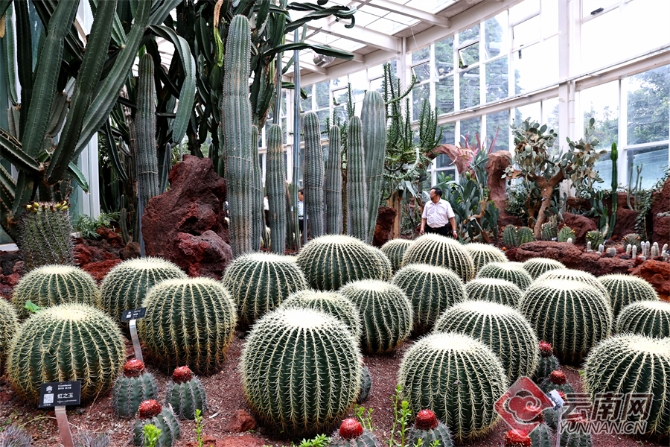 00304055772_319dfb7e 00304055772_319dfb7e