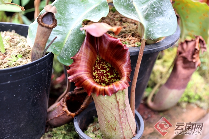 00304055773_c28ce916 00304055773_c28ce916