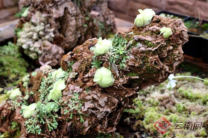 00304055774_f4f8abeb 00304055774_f4f8abeb