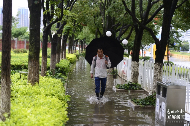 强降雨后昆明海源中路断交，水深处达30mm 春城晚报-开屏新闻记者 孙琴霞 文 龙宇丹 摄