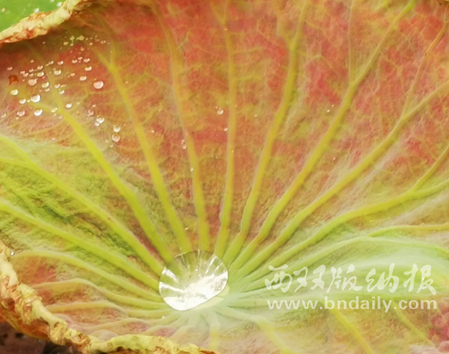 0723-03JJZK-006-225498-原文件 0723-03JJZK-006-225498-原文件