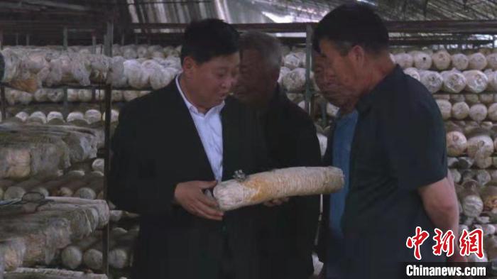 山西省交口县枣林村党支部书记张拉生，钻研“液体菌种”技术时，经历100多次失败，终获成功。　李海凤 摄