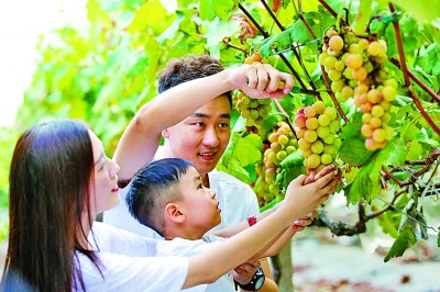 红船起航地描绘共同富裕新画卷