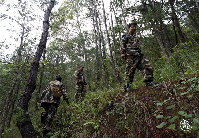 47_副本.jpg 47_副本.jpg