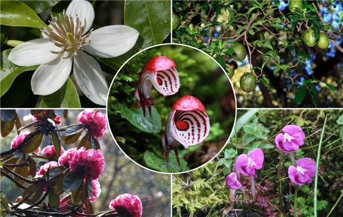 微信图片_20210331101316.jpg 微信图片_20210331101316.jpg