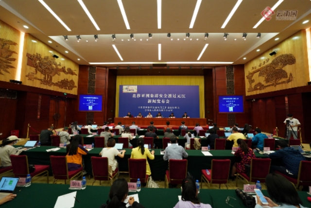 大象发布会