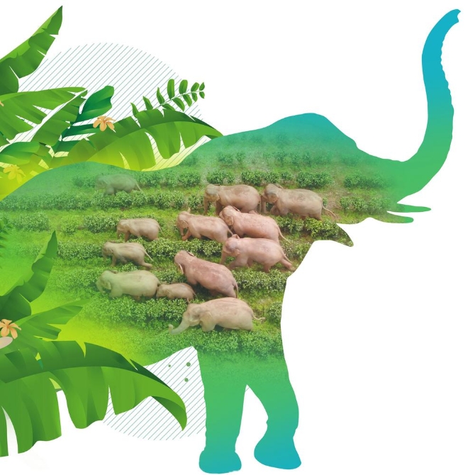 a50cf9da-0880-478d-9b35-b5169bc10cb0.jpg a50cf9da-0880-478d-9b35-b5169bc10cb0.jpg