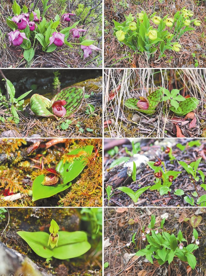 95c4558c-8ec7-4bf7-a829-7b97fbbaca8b.jpg 95c4558c-8ec7-4bf7-a829-7b97fbbaca8b.jpg