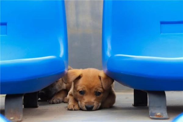 微信图片_20210903145317