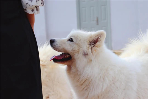 微信图片_20210903145330