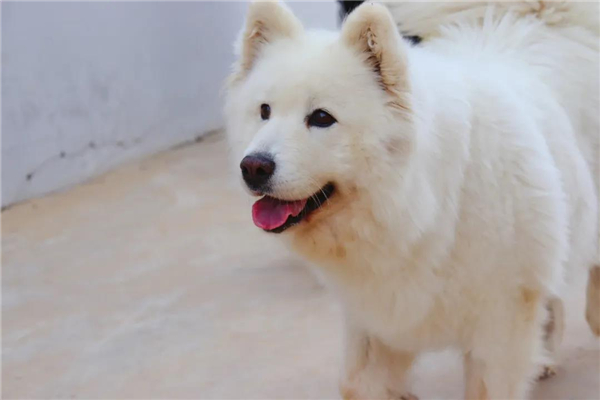 微信图片_20210903145341