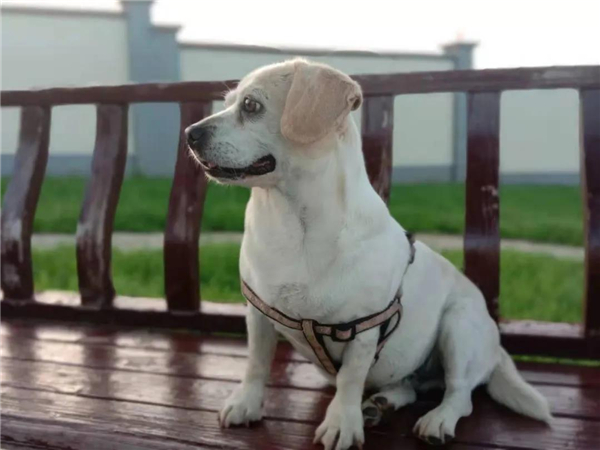 微信图片_20210903145354