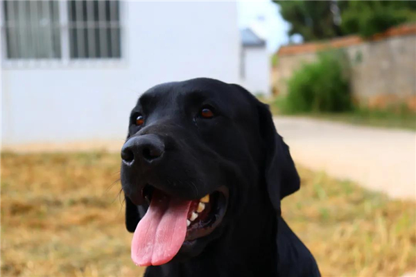 微信图片_20210903145402