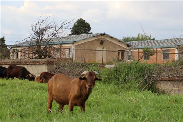 微信图片_20210903145431