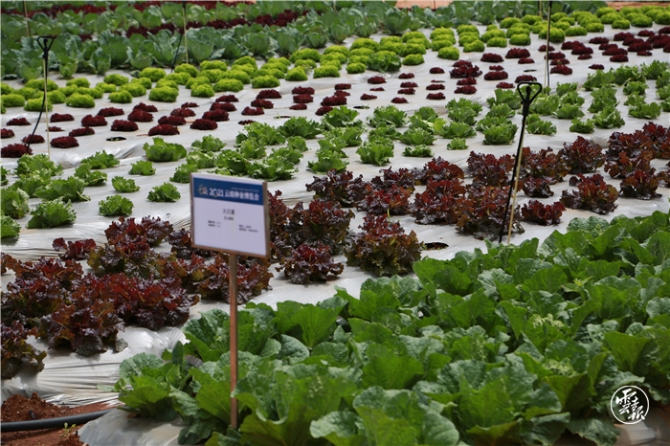 GetAttachment (19).jpg