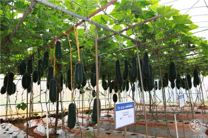 GetAttachment (21).jpg