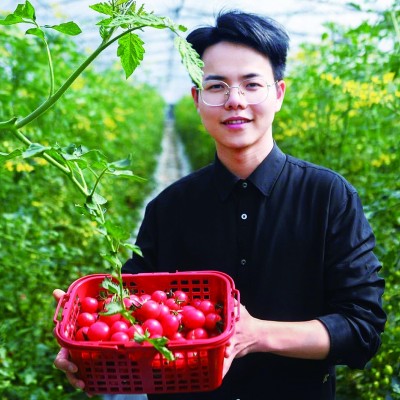 把父辈的土地种上“云端” 把父辈的土地种上“云端”