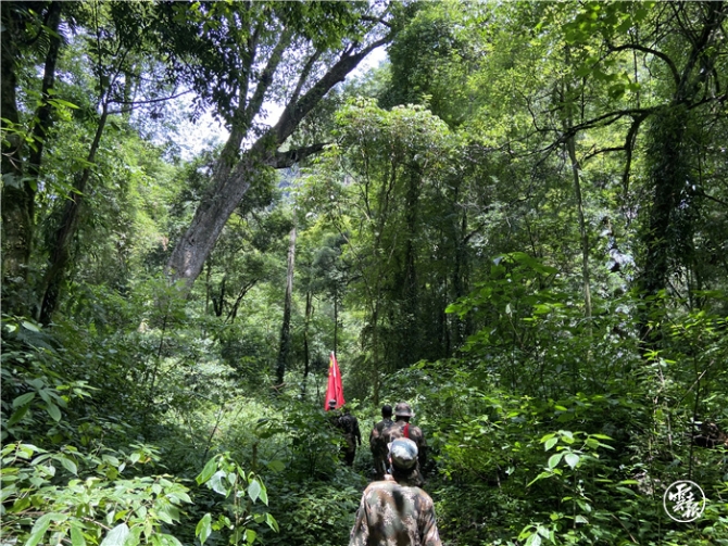 守边1.jpg 守边1.jpg