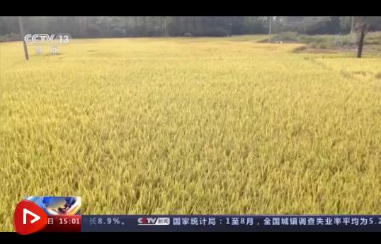 微信截图_20210916101542