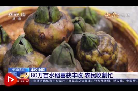 微信截图_20210916101554