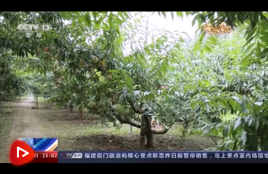 微信截图_20210916101601