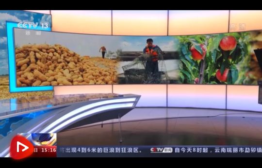 微信截图_20210916101625