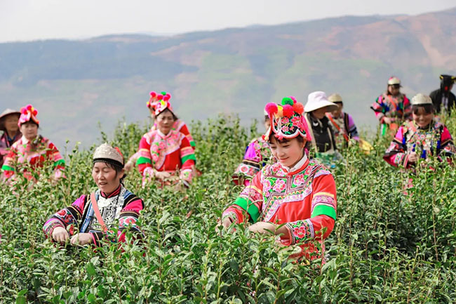 640.webp (2) 640.webp (2)