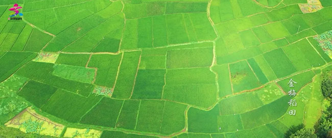 640.webp (11) 640.webp (11)