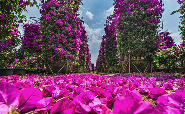 640.webp (5) 640.webp (5)