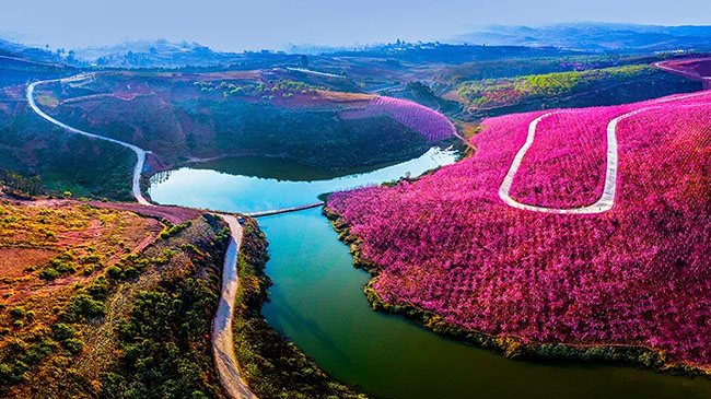 640.webp (6) 640.webp (6)