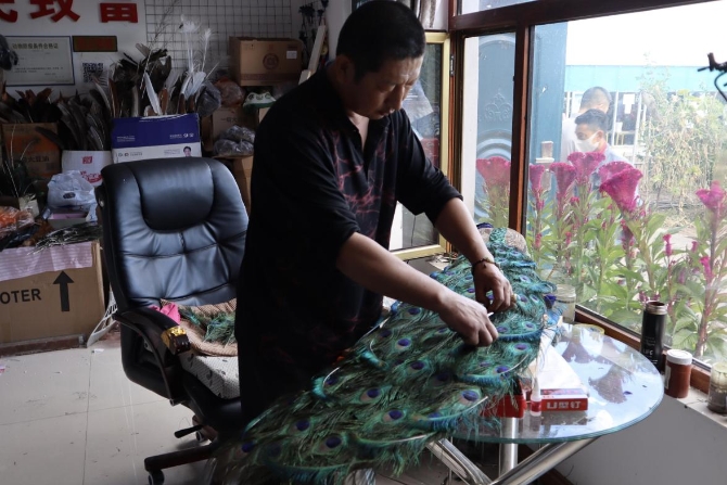 (村民在制作孔雀标本 央视网记者 王静远 摄)