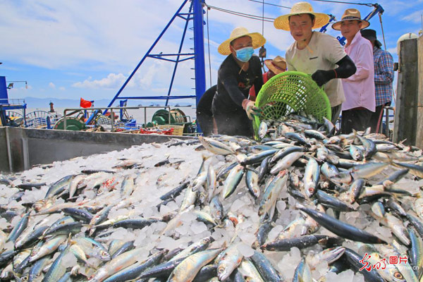 【网络中国节·中秋】中秋时节话丰收 【网络中国节·中秋】中秋时节话丰收