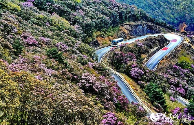 轿子山保护区风景。郭明海摄