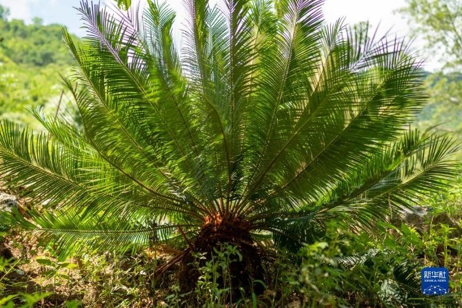 1310209803_16326165353261n