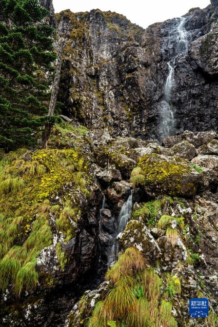 1310209803_16326165354021n