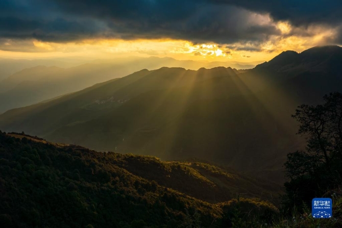 1310209803_16326165354881n