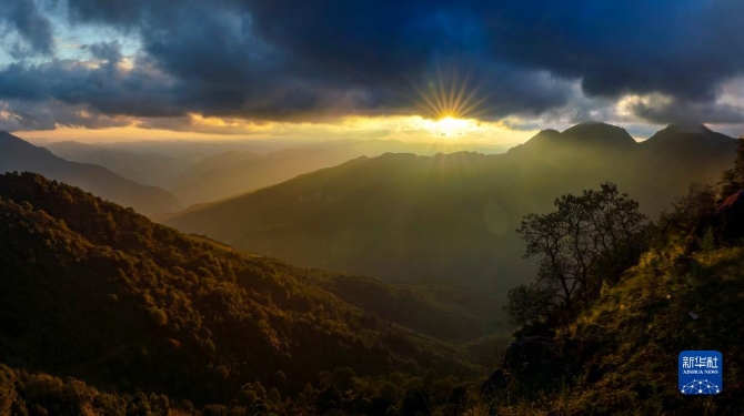 1310209803_16326165355901n