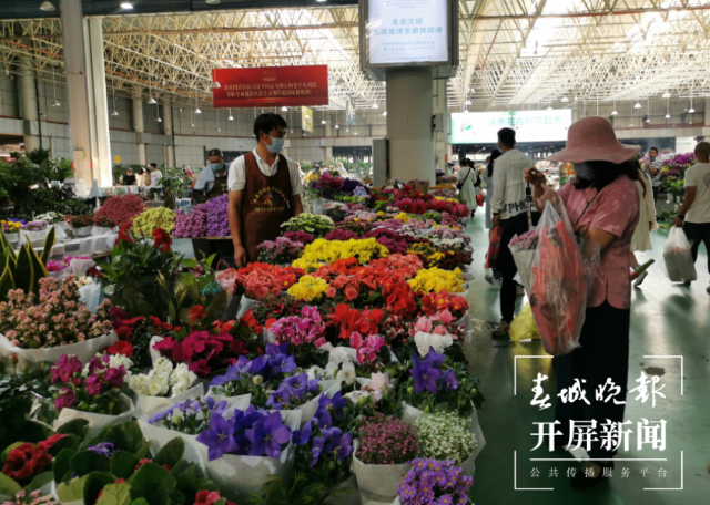 昆明斗南花市迎来鲜花采购高峰 春城晚报-开屏新闻记者 李赛 摄影报道