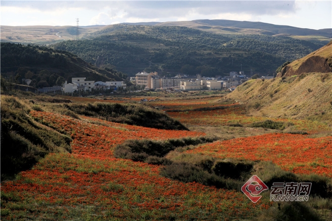 00304213554_5df64e66 00304213554_5df64e66