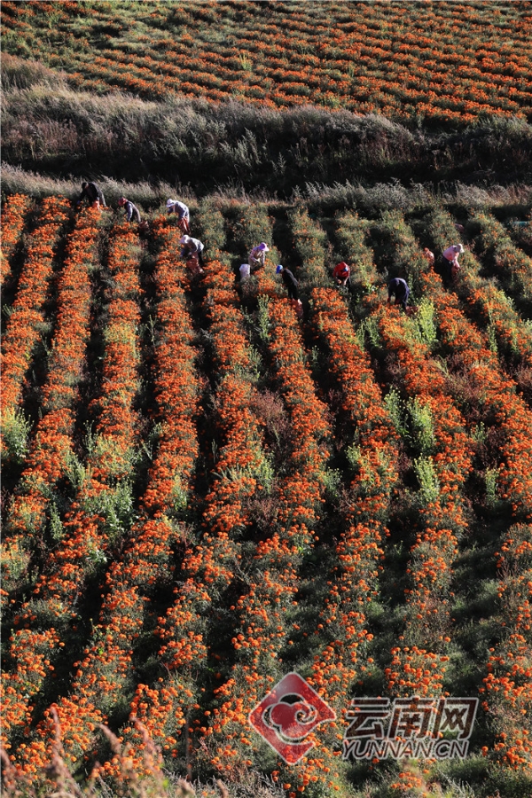 00304213553_817fbdb6 00304213553_817fbdb6