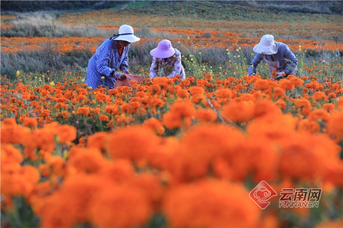 00304213555_b6a57e1a 00304213555_b6a57e1a