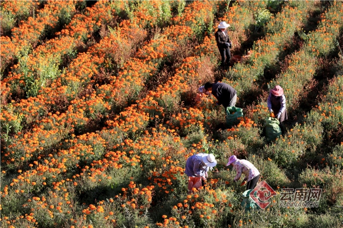 00304213556_65f6a2ec 00304213556_65f6a2ec