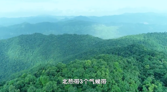 微信截图_20211012202724