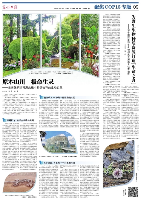 09_big (1) 09_big (1)