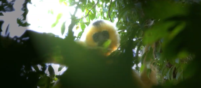 微信截图_20211013174955