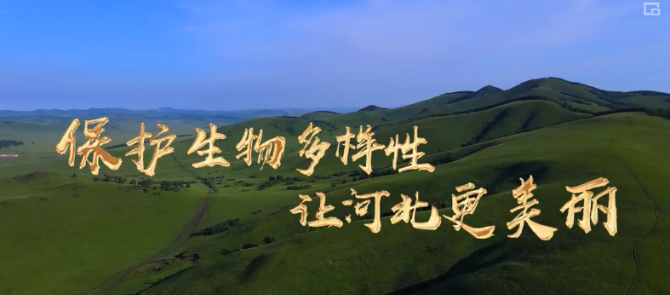 微信截图_20211013221025