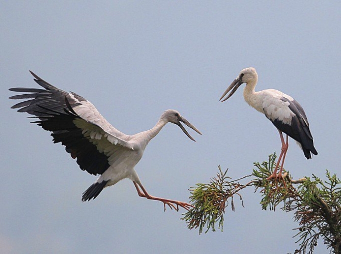“行走西山”微信公众号 “行走西山”微信公众号