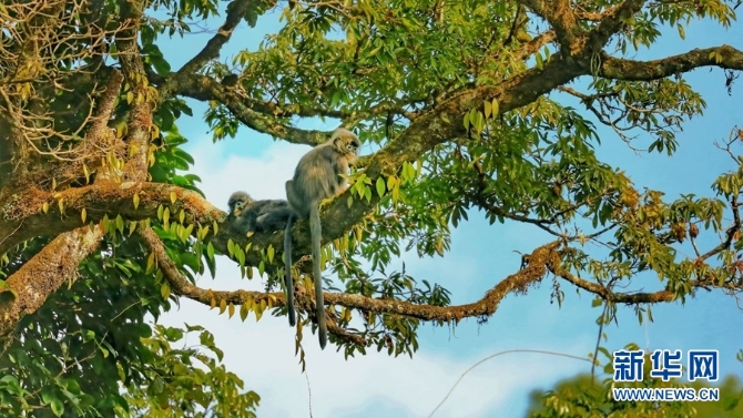 1310254827_16346148517841n 1310254827_16346148517841n